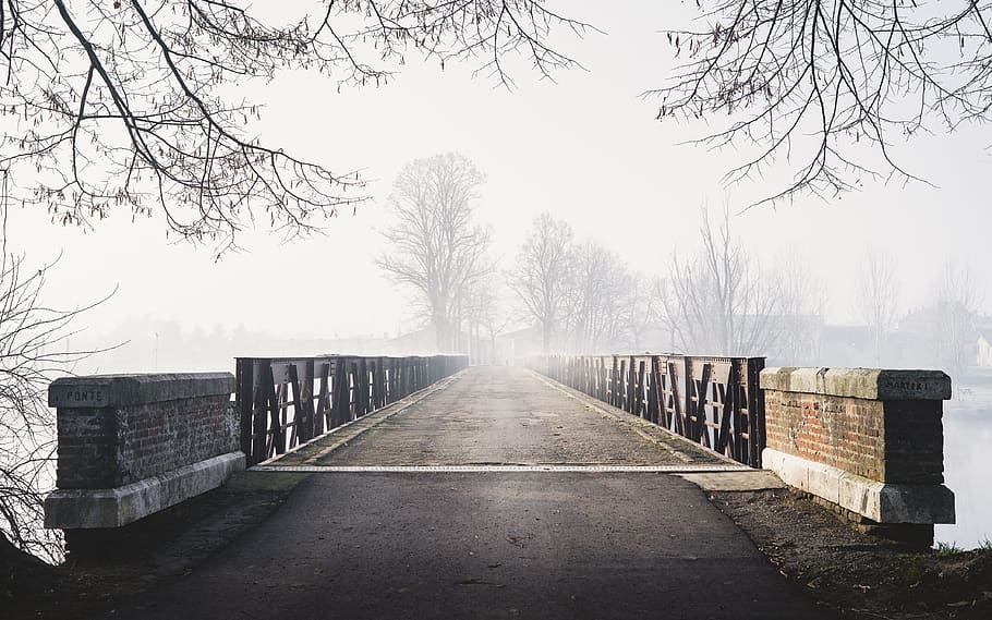 architecture, infrastructure, nature, bridge, trees, snow winter HD wallpaper