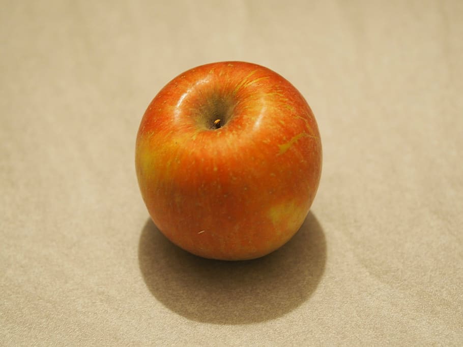 apple, fruit, red, red apple, power, tree, fruit tree, harvest HD wallpaper