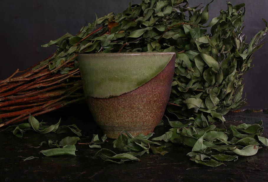 tea, green, mountain, green tea, healthy, leaf, tea cup, dry HD wallpaper