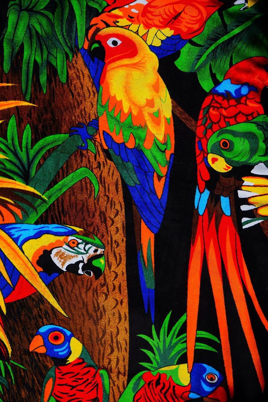 parrots, aras, lori, parakeet, birds, towel, bath towel, colorful HD wallpaper