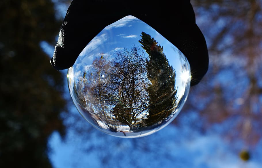 glass ball, trees, transparent, mirroring, about, reflection HD wallpaper