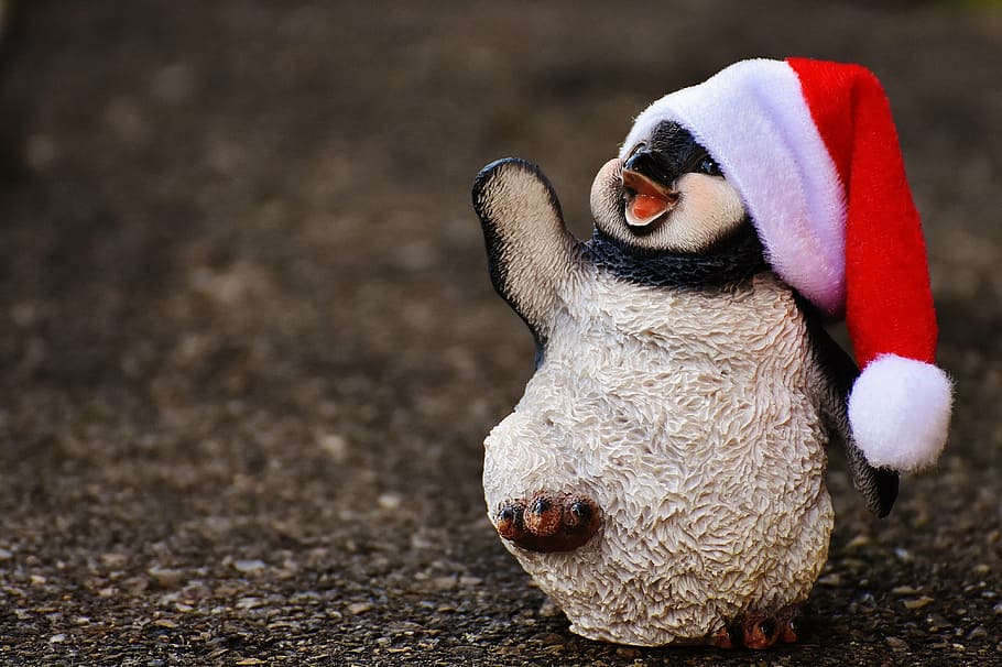 cute christmas penguin wallpaper
