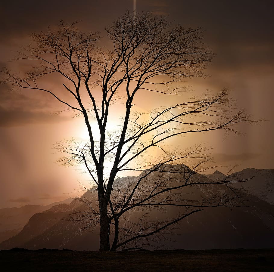 landscape, nature, tree, mountains, outlook, mountain peaks HD wallpaper