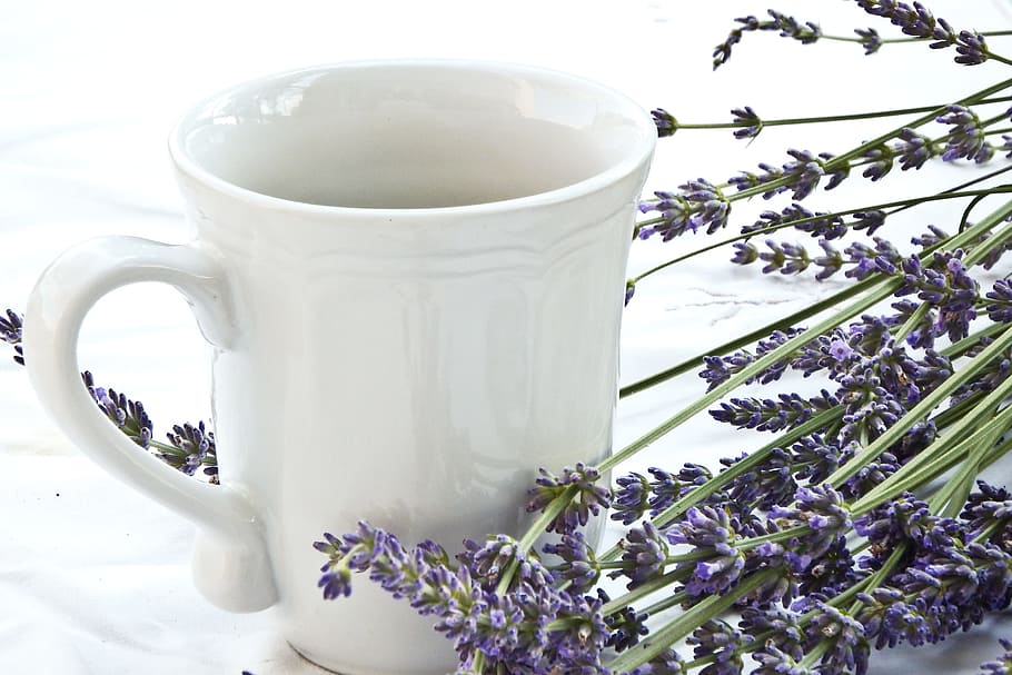 white mug beside verveine flowers, lavender, cup, tablecloth HD wallpaper