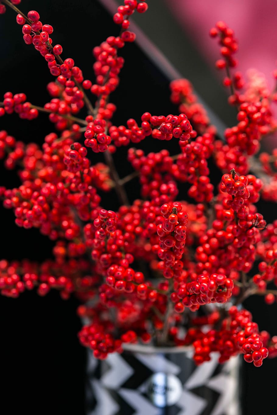 Red rowan in a black-and-white pot, blackandwhite, twig, berries HD wallpaper