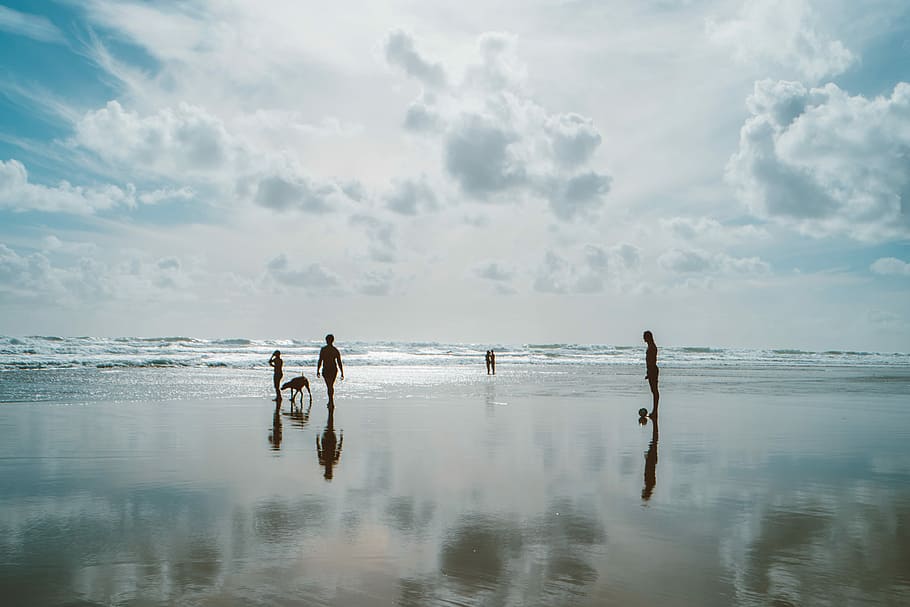 group of people on beach under cloudy sky, silhouette photography of people at seashore under alto cumulus clouds HD wallpaper