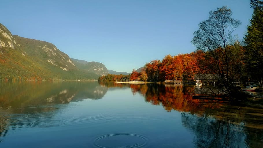 Hd Wallpaper: Lake Bohinj, Slovenia, Landscape, Scenic, Fall, Autumn 