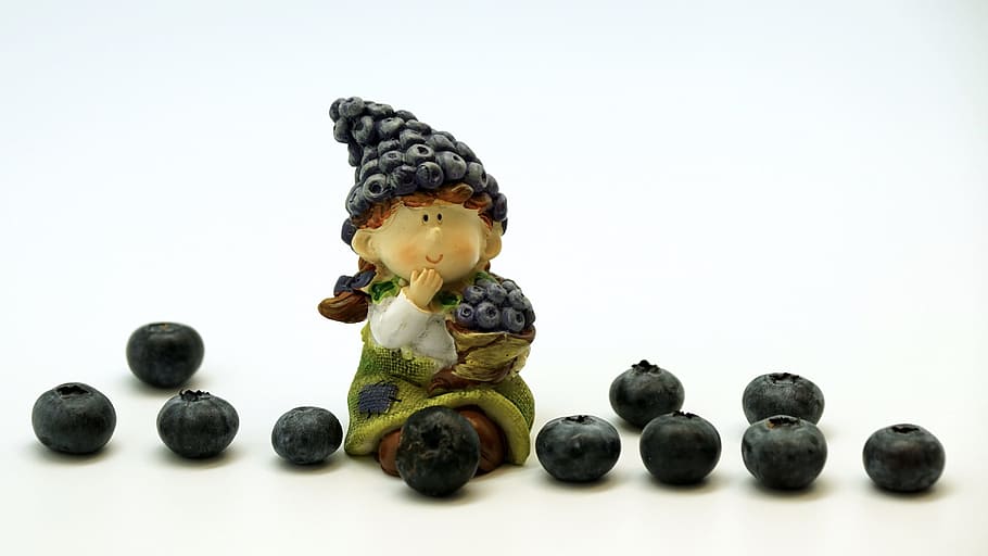 blueberries, berry, sweet, fruit, healthy, still life, decoration HD wallpaper