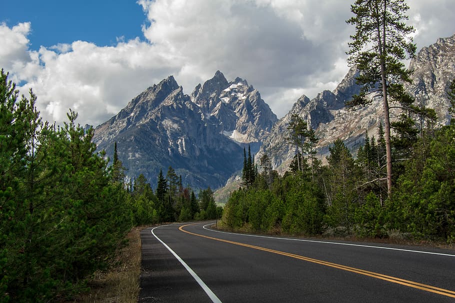 empty asphalt road between tress, asphalt road in the middle of green trees near mountains HD wallpaper