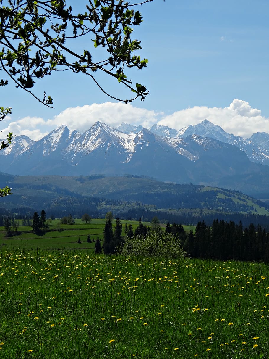 mountains, tatry, the high tatras, landscape, the national park