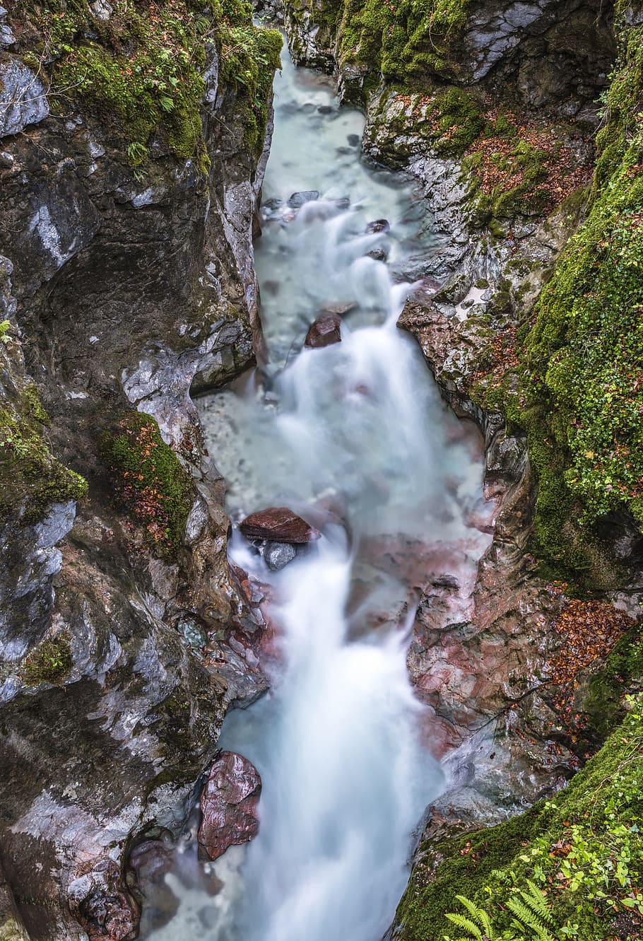 marx gorge, magic forest, bach, clammy, river, water, mystical HD wallpaper