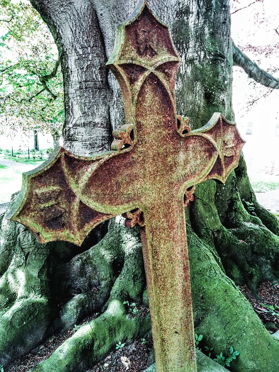 cross, cemetery, tree, old cemetery, plant, tree trunk, no people HD wallpaper