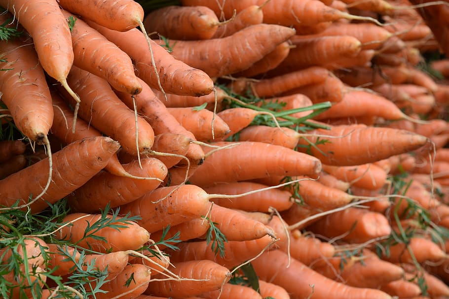 vegetables, veggies, carrots, food and drink, market, large group of objects HD wallpaper