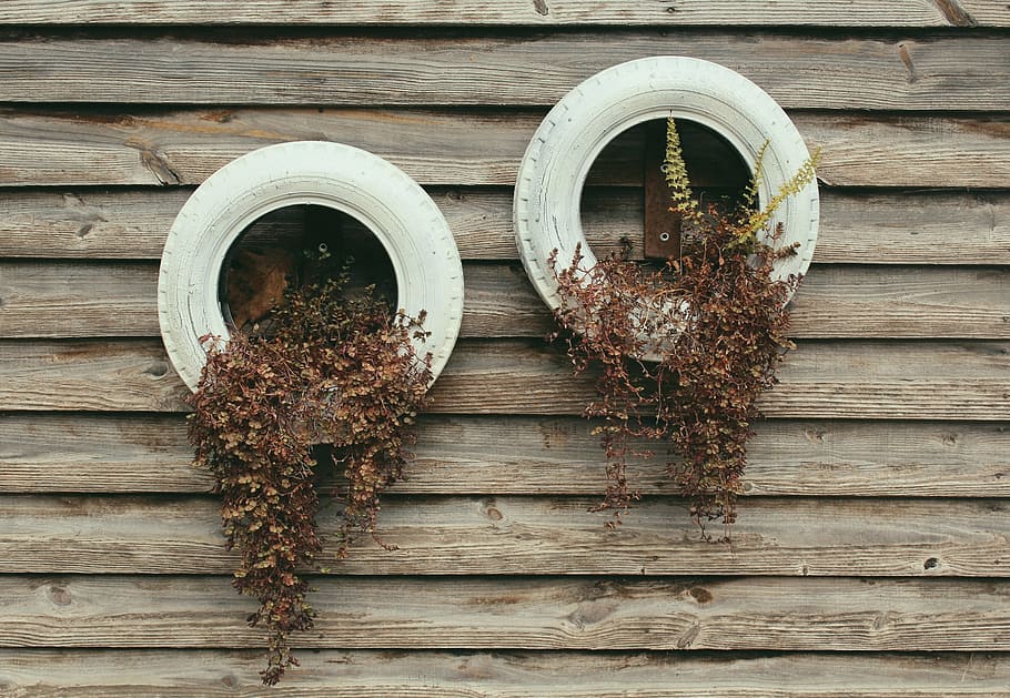 plants, rustic, texture, tires, wall, wood, wooden, wood - Material HD wallpaper
