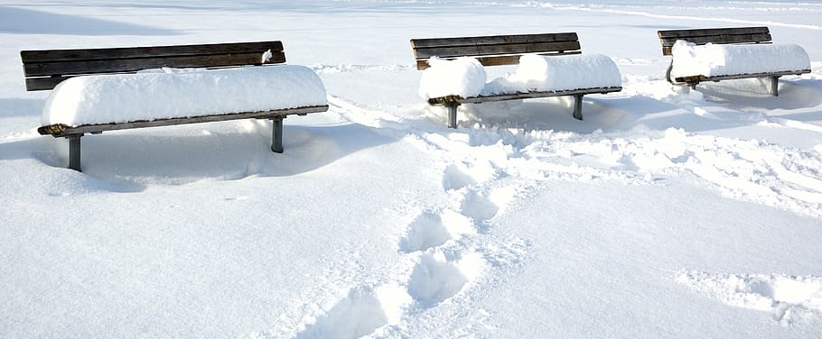 winter, snow, bench, seat, bank, wintry, snowed in, white, cold HD wallpaper