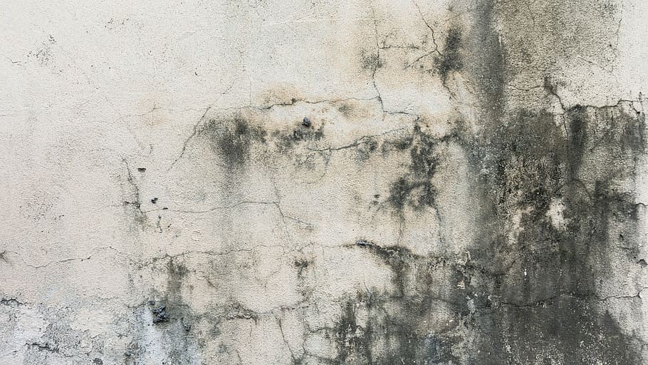 gray painted wall, texture, background, crack, lines, grunge, HD wallpaper
