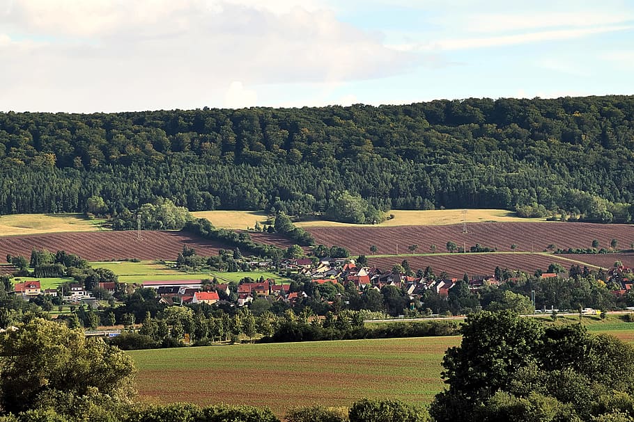 landscape, fields, forest, reported, village, tree, plant, sky HD wallpaper