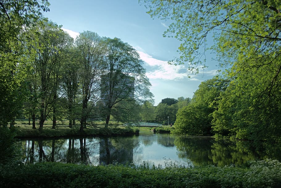 Nature, Tree, Water, Landscape, the silence, green, reflection HD wallpaper
