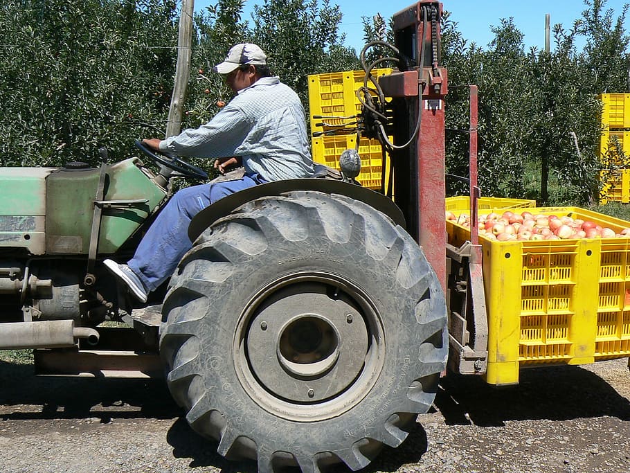 apples, harvest, tractor, fruit, transportation, mode of transportation HD wallpaper