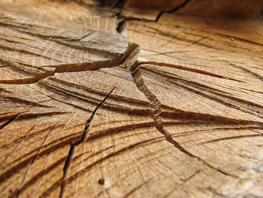 Wood, Detail, Structure, backgrounds, textured, full frame HD wallpaper