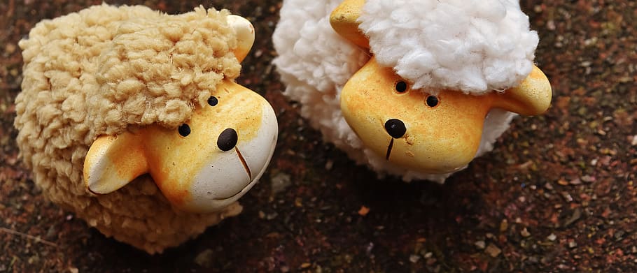 sheep, animals, deco, ceramic, decoration, funny, cute, representation HD wallpaper