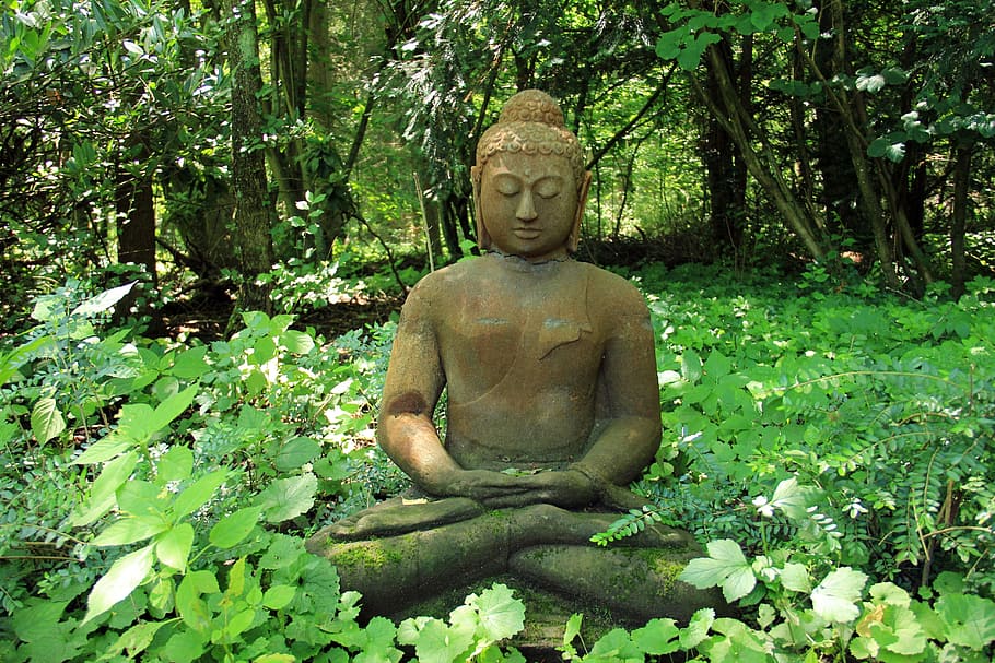 Gautama Buddha statue surrounded by grass and tall trees, rest HD wallpaper