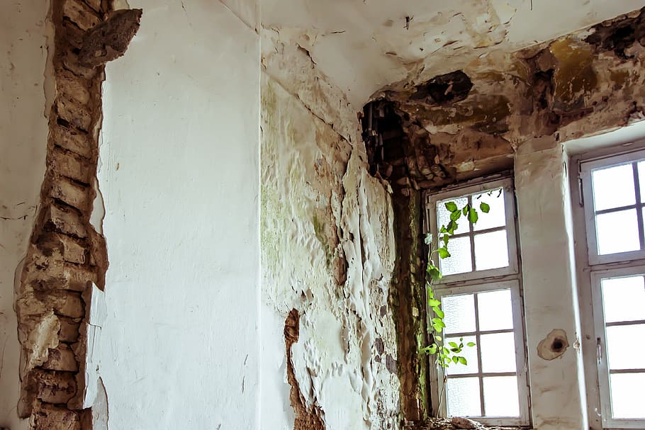 Abandoned, Space, Moss, Mold, abandoned space, architecture HD wallpaper