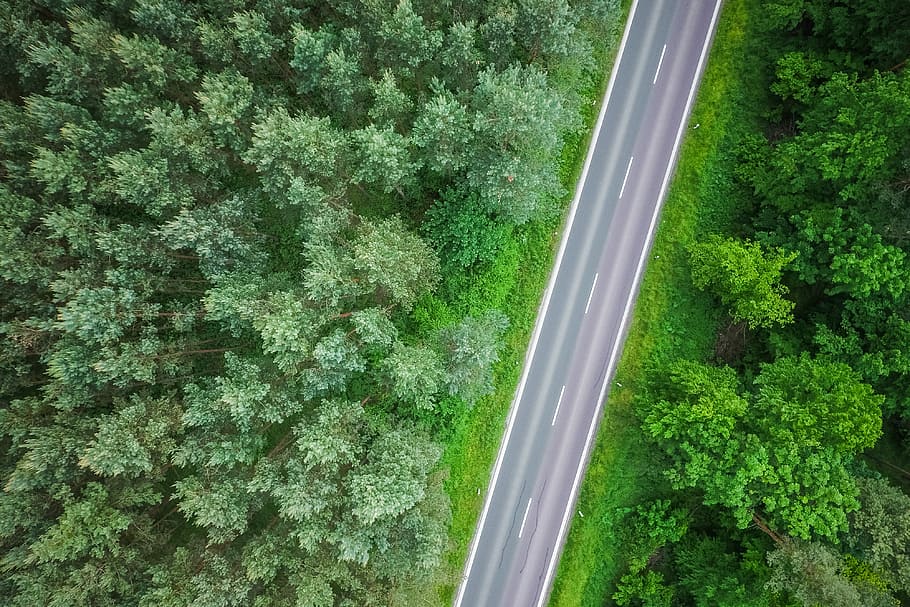 Aerial View of a Lonely Road in the Woods, drone photography, HD wallpaper