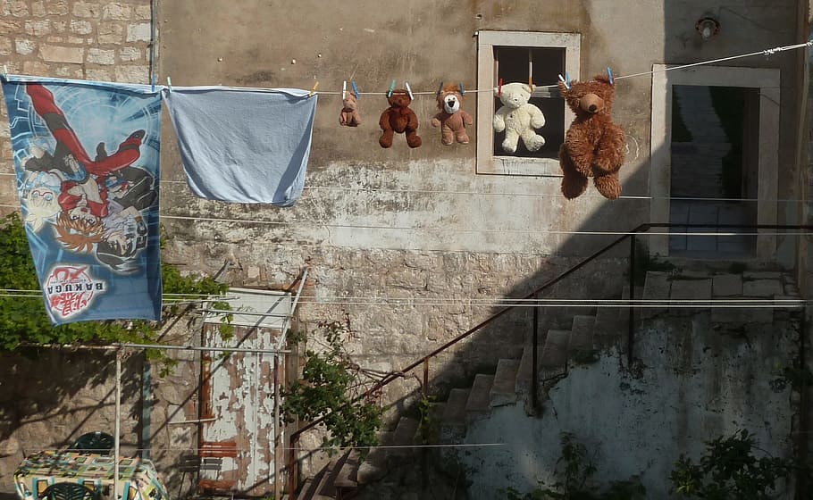 Plush, Doudou, Drying, City, Toys, bear cub, urban Scene, reflection HD wallpaper