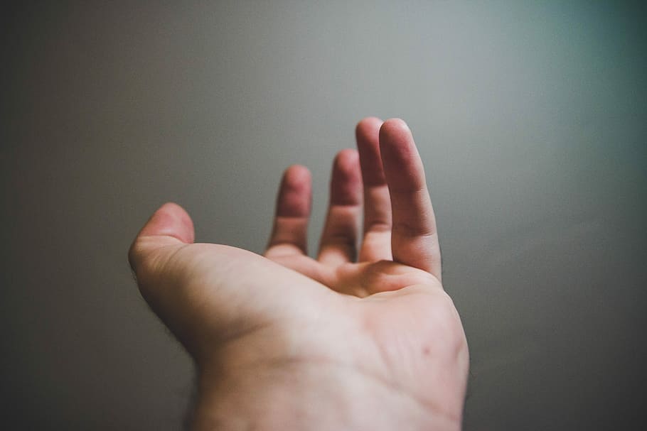 focus photography of person's open hand, shallow focus photography of person's left hand HD wallpaper