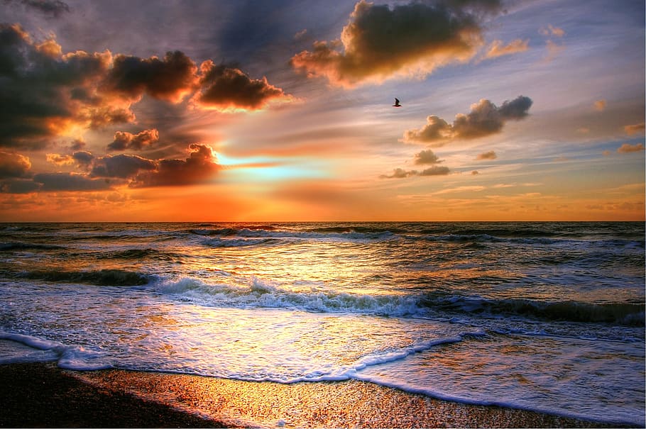 photography of ocean during sunset, beach, sea, romance, twilight