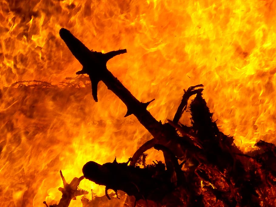 fire, burn, geiss, flame, brand, wood fire, orange color, burning HD wallpaper