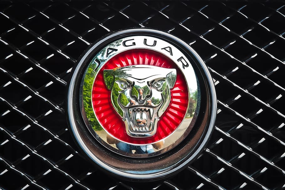 Jaguar logo 1080P, 2K, 4K, 5K HD wallpapers free download | Wallpaper Flare