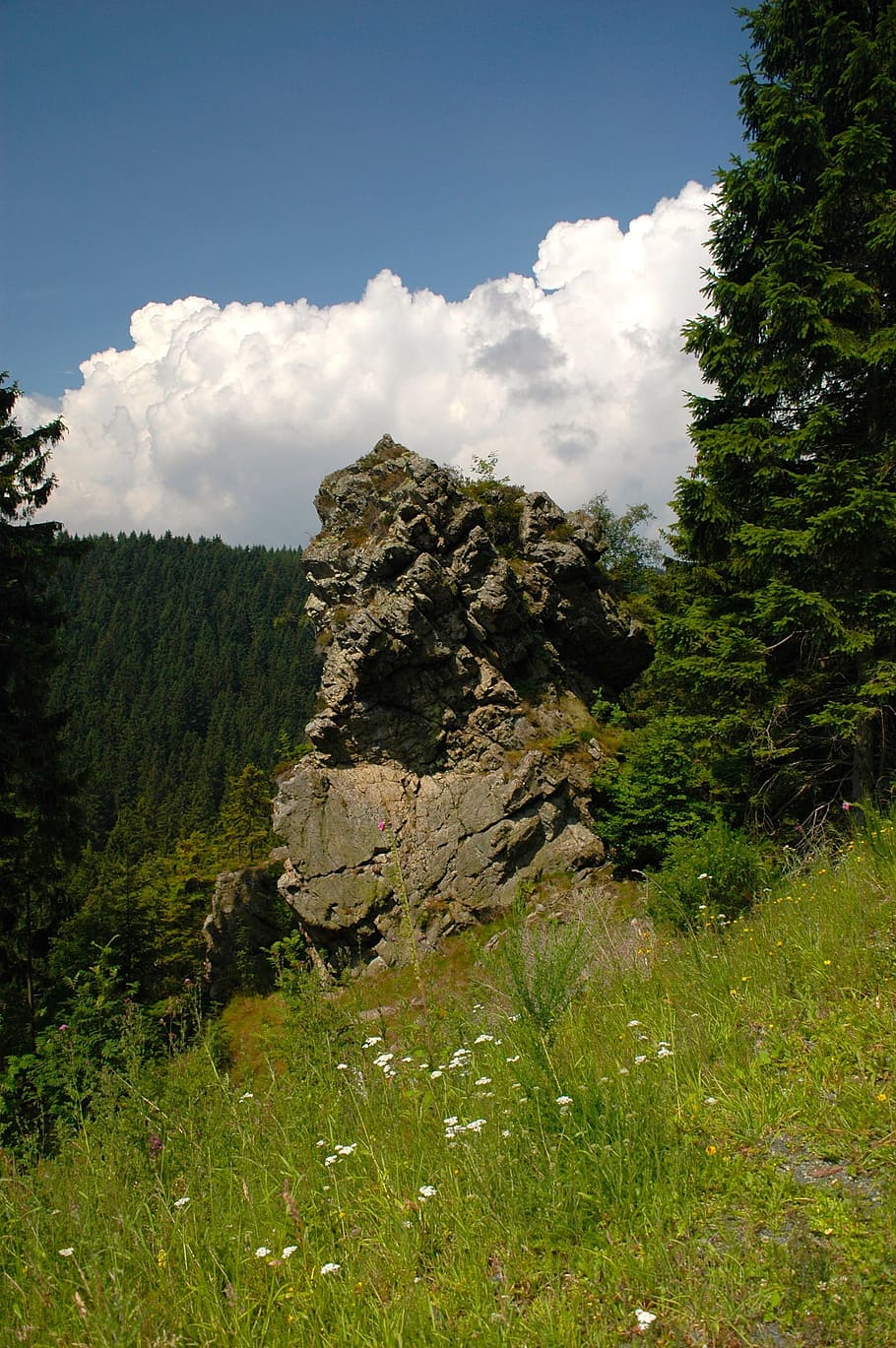 Rock, Forest, Resin, Clouds, Sky, Blue, cloud - sky, tree, nature HD wallpaper