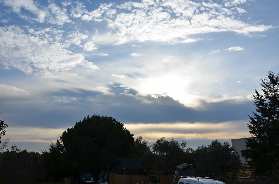 Sunrise, White, Sky, Cloud, blue, tree, cloud - sky, no people HD wallpaper