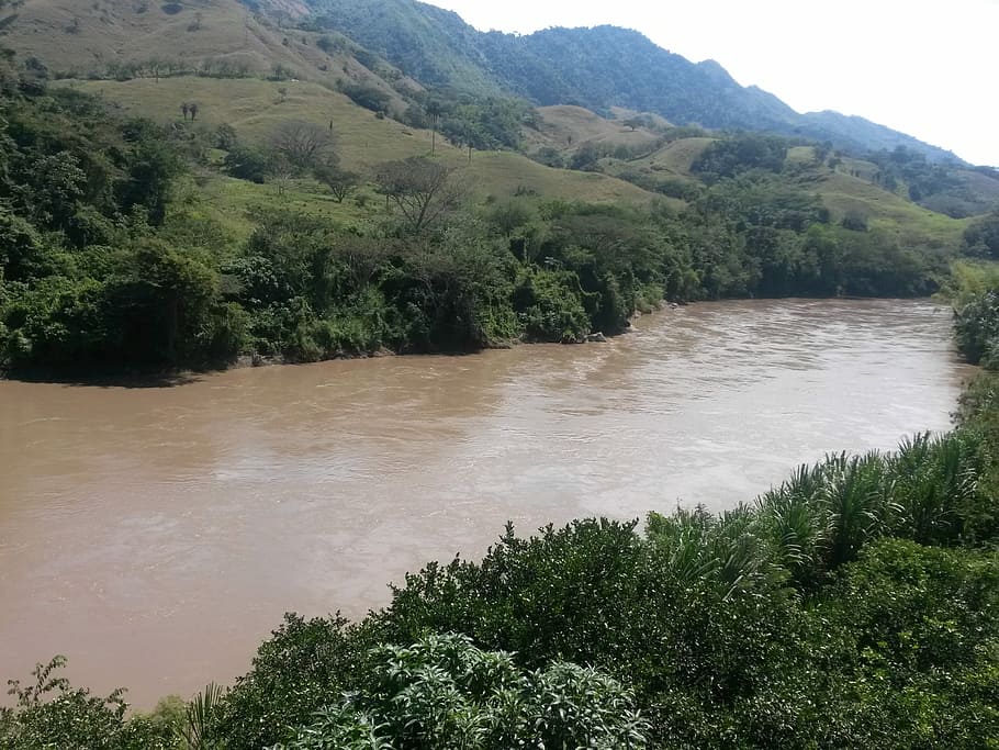 Cauca River, Trees, Landscape, water, nature, landscapes, shore HD wallpaper