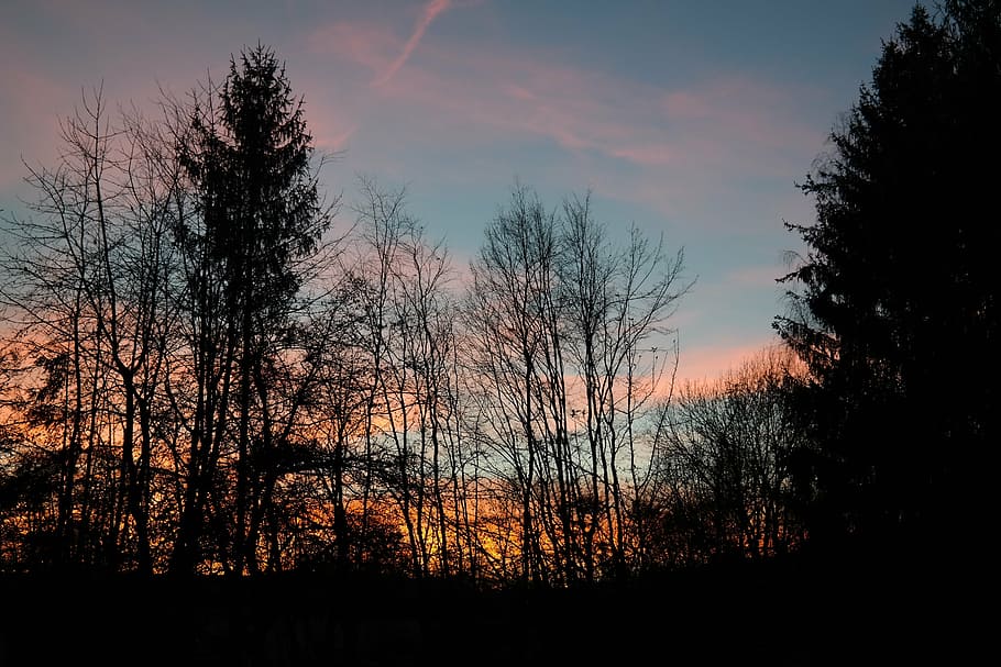 sunset, afterglow, evening sky, clouds, trees, abendstimmung HD wallpaper