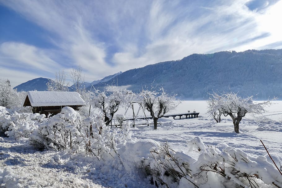 snow, winter, cold, frozen, nature, ice, alpine, frost, lake HD wallpaper