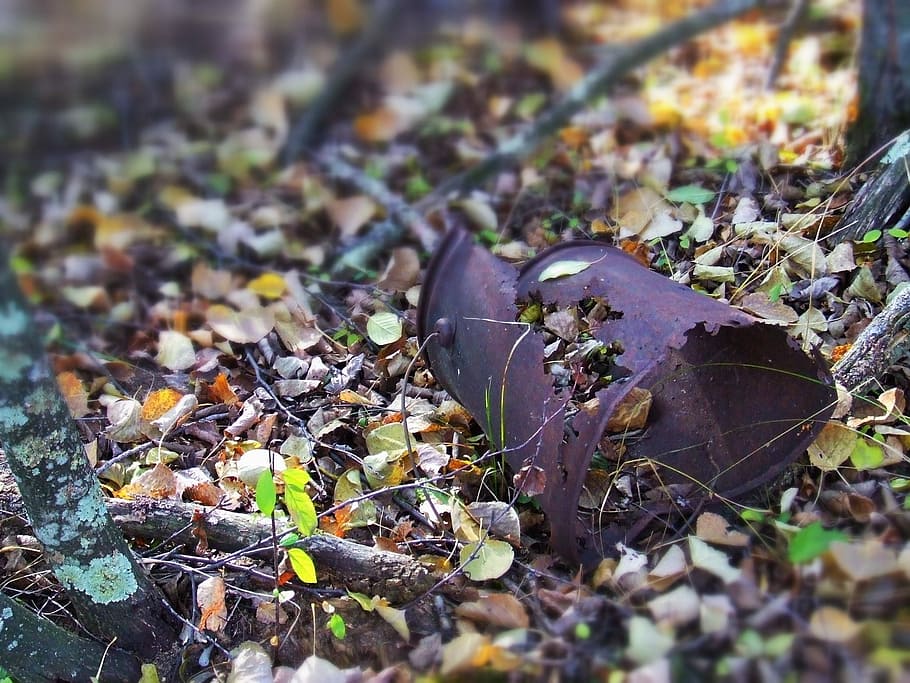 Bucket, Rust, Field, Trash, Metal, Old, vintage, pail, rustic HD wallpaper