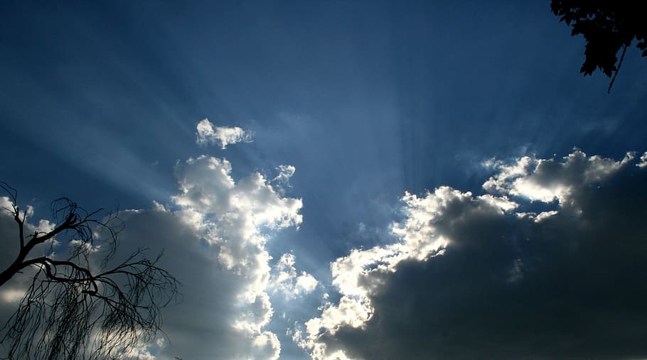 clouds, rays of light, dark clouds, dark blue sky, silhouette of branches HD wallpaper