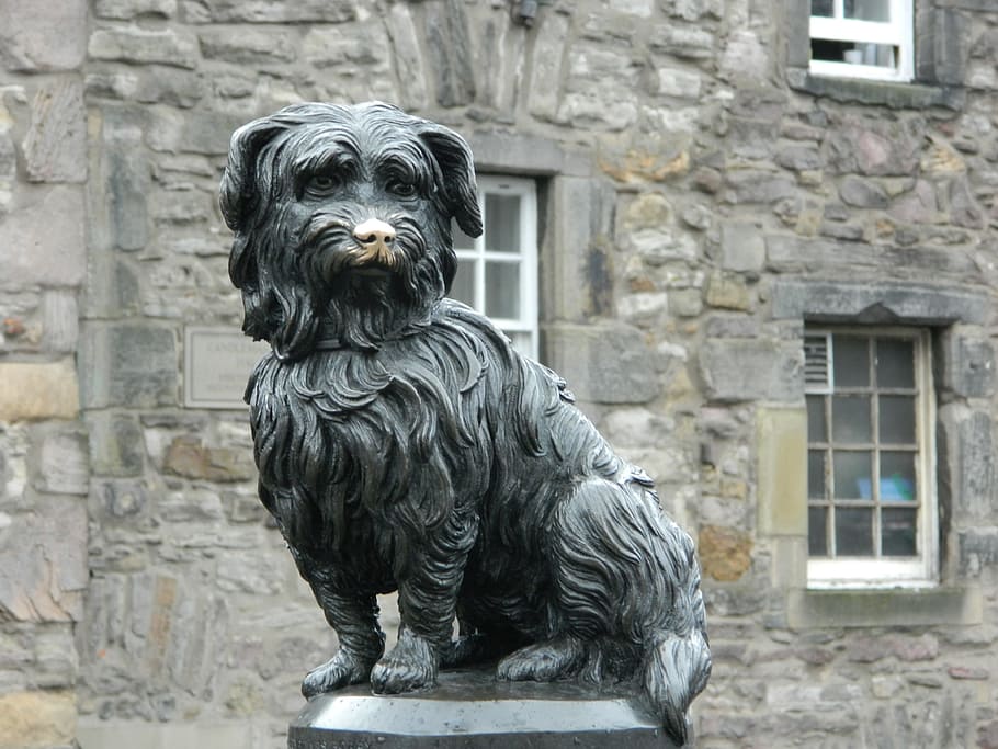 black dog statuette beside brick building, memorial, monument HD wallpaper