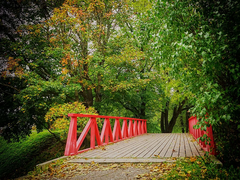 red and brown wooden bridge surrounded by green leaf trees at daytime HD wallpaper