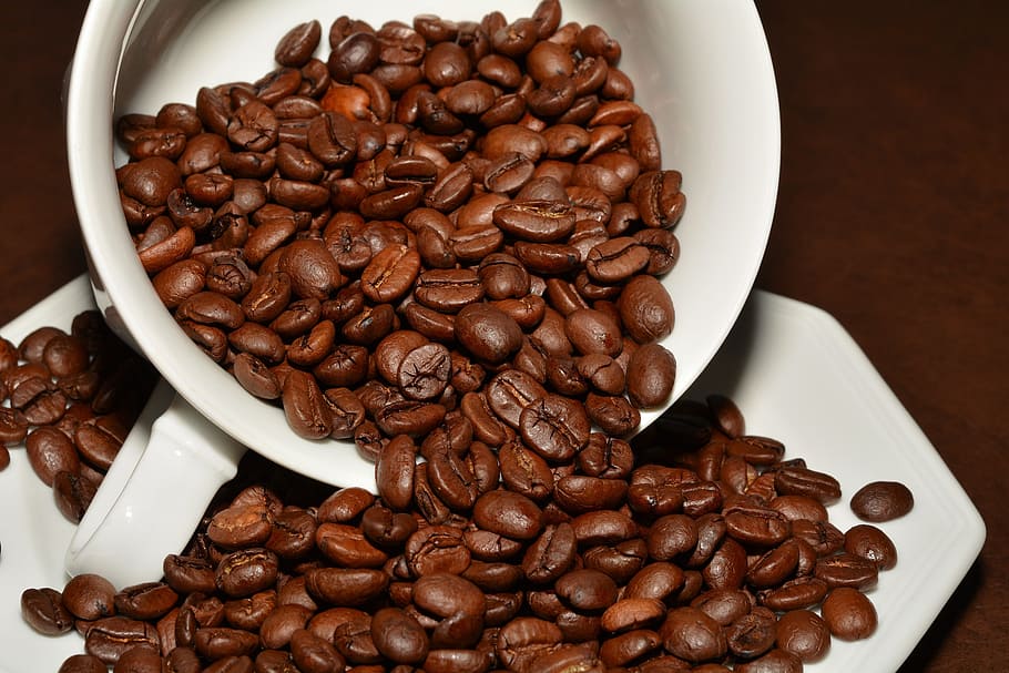 coffee beans, roasted, aroma, cup, saucer, close, food and drink HD wallpaper
