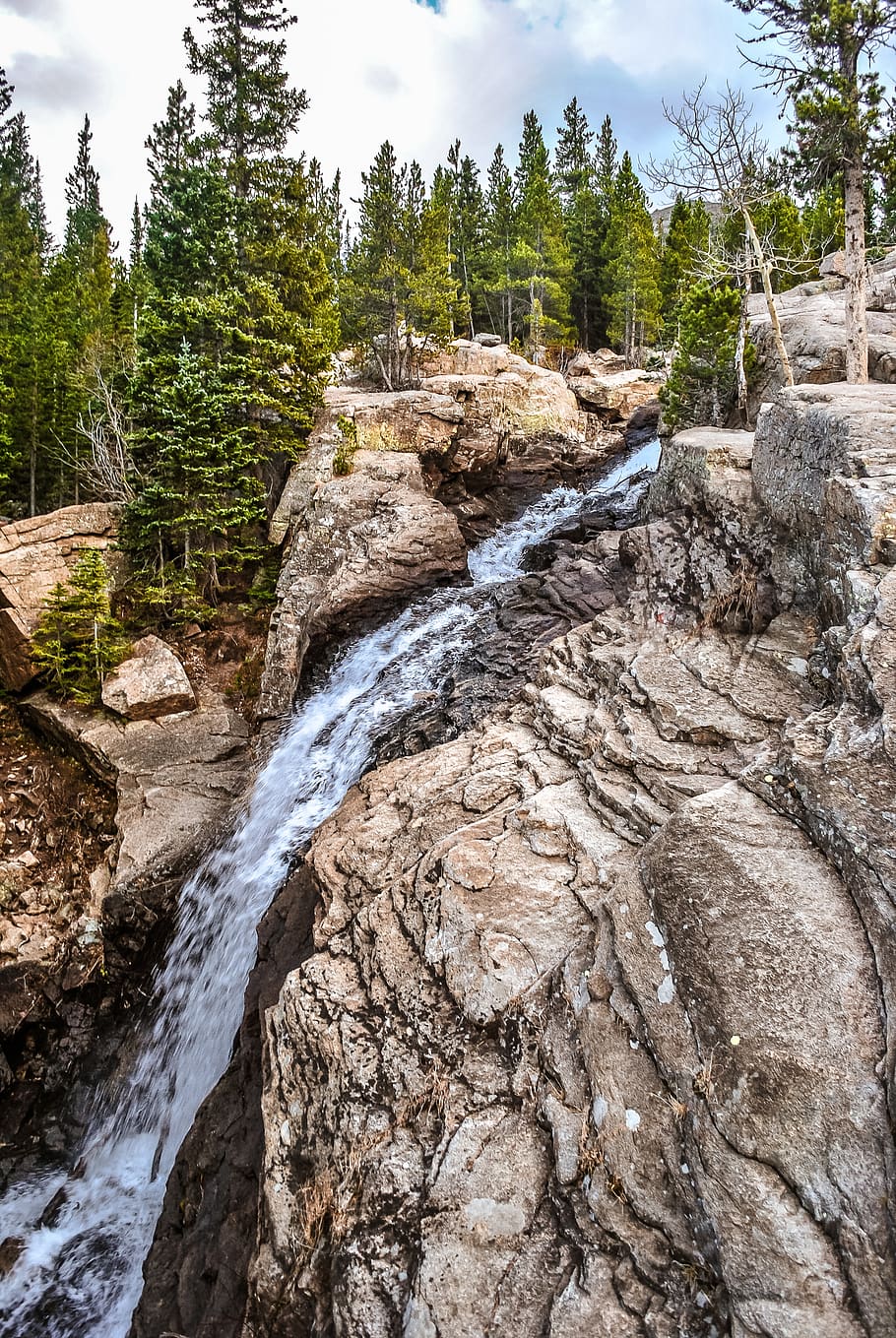 waterfall, trees, nature, park, forest, environment, plant HD wallpaper