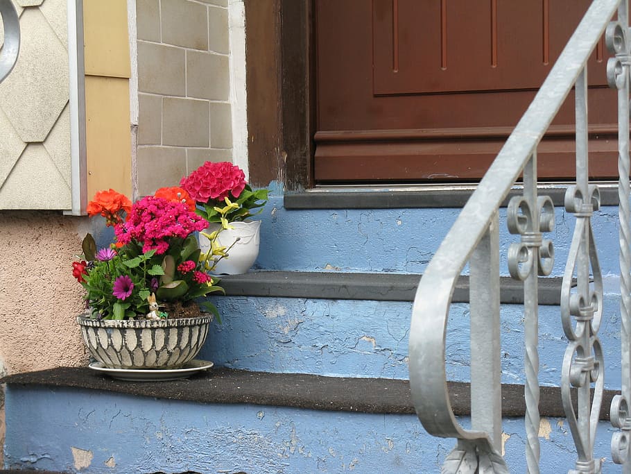 Still Life, Simplicity, Trap, flower, water, architecture, outdoors HD wallpaper