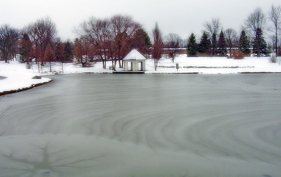 Frozen, Pond, Park, Ice, Winter, Trees, cold temperature, snow, HD wallpaper