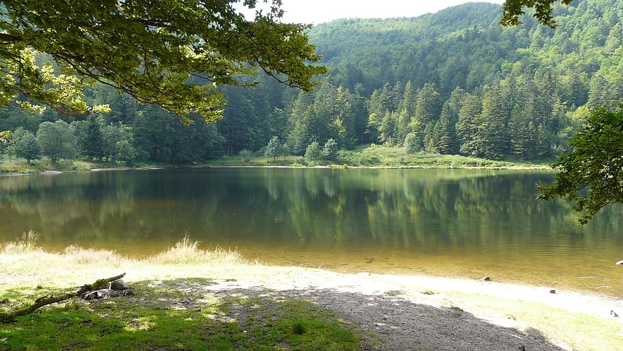 lake, vosges, mountains, water, tree, plant, beauty in nature HD wallpaper