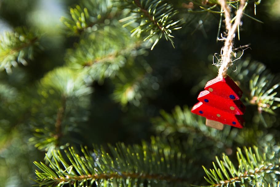 shallow focus photo of red holiday tree ornament, red and brown wooden decor HD wallpaper