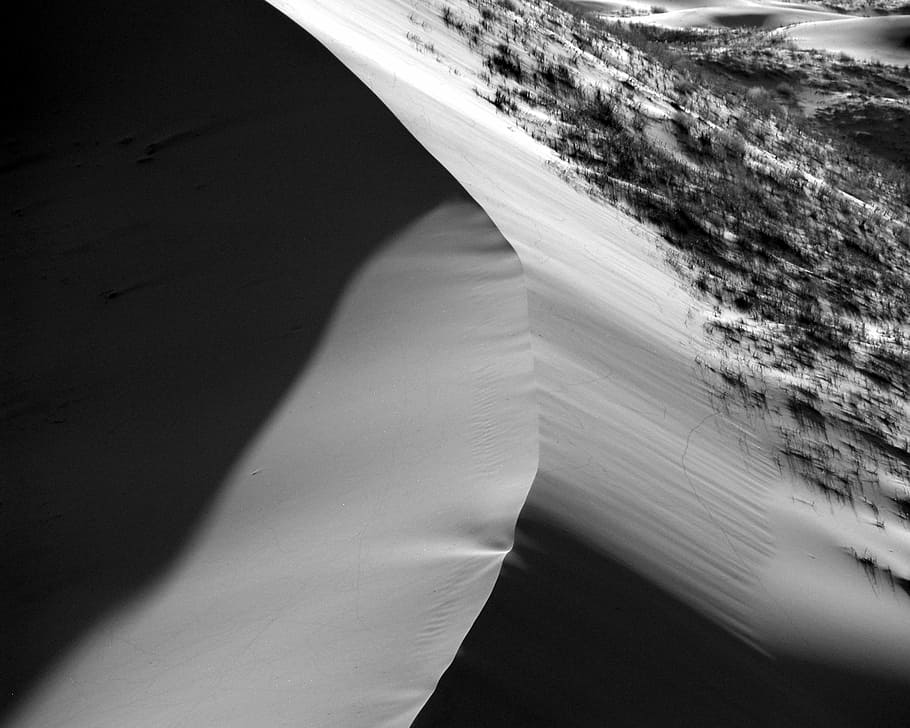 grayscale photo of deser, untitled, sand, dune, desert, grass HD wallpaper