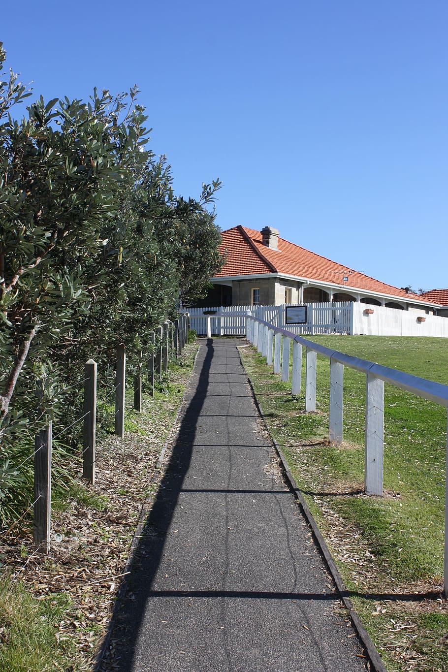 walk path, side walk, view, architecture, built structure, plant HD wallpaper